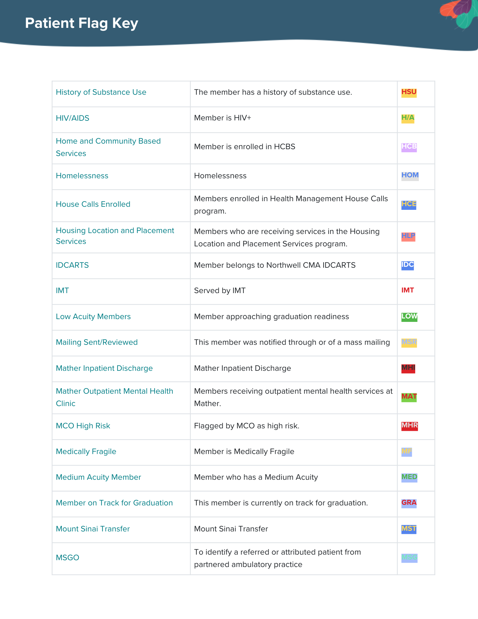 Patient Flag 1 (4).png